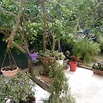 아파트 Residenza Casa Nel Verde *