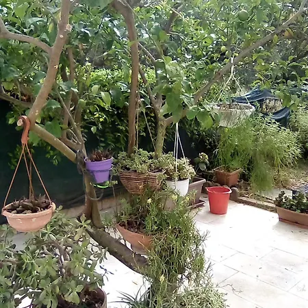 公寓 Residenza Casa Nel Verde *