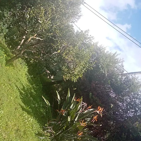 Residenza Casa Nel Verde Апартаменты Ламеция-Терме