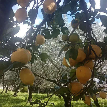 Residenza Casa Nel Verde