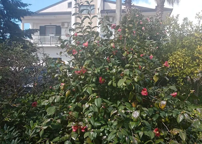 Residenza Casa Nel Verde 公寓 拉默齐亚泰尔默