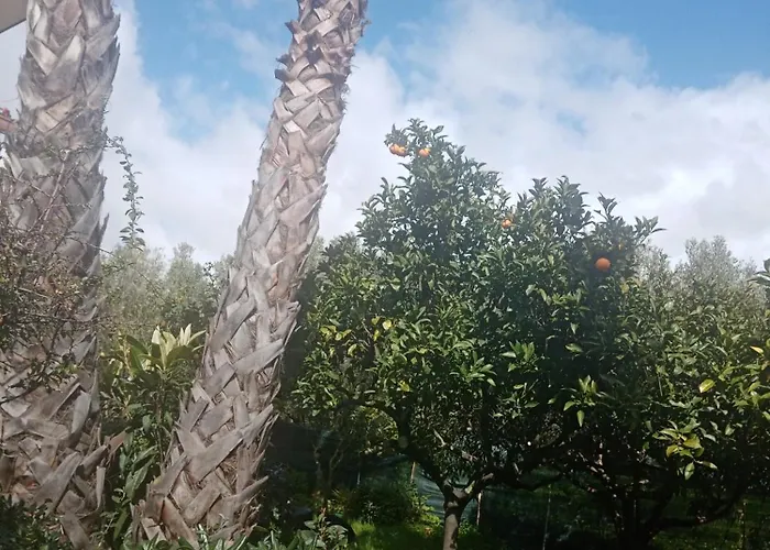 Daire Residenza Casa Nel Verde Lamezia Terme