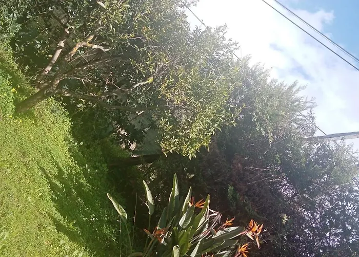 Residenza Casa Nel Verde Daire Lamezia Terme