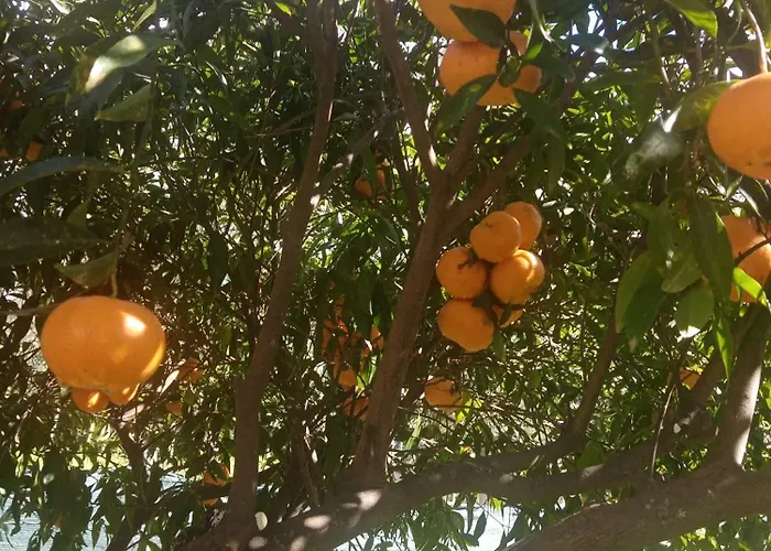 Residenza Casa Nel Verde * 拉默齐亚泰尔默