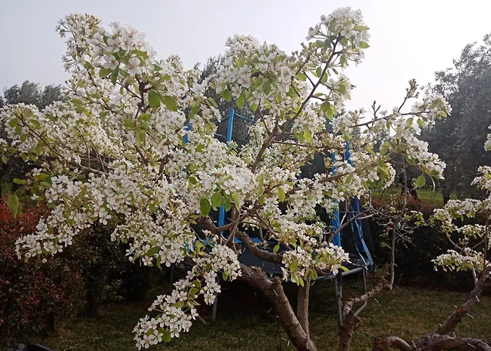 公寓 Residenza Casa Nel Verde 拉默齐亚泰尔默