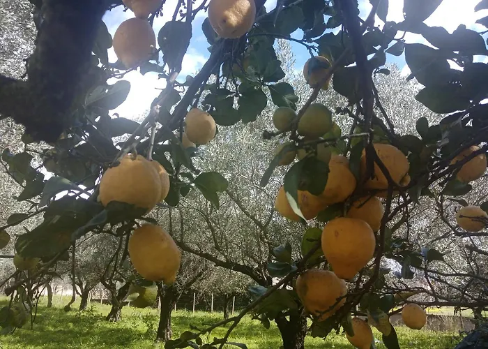 Residenza Casa Nel Verde