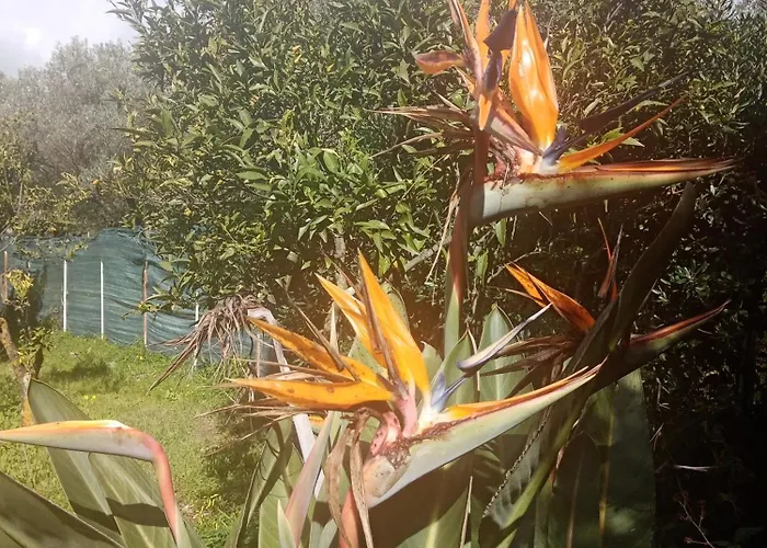 Residenza Casa Nel Verde 公寓